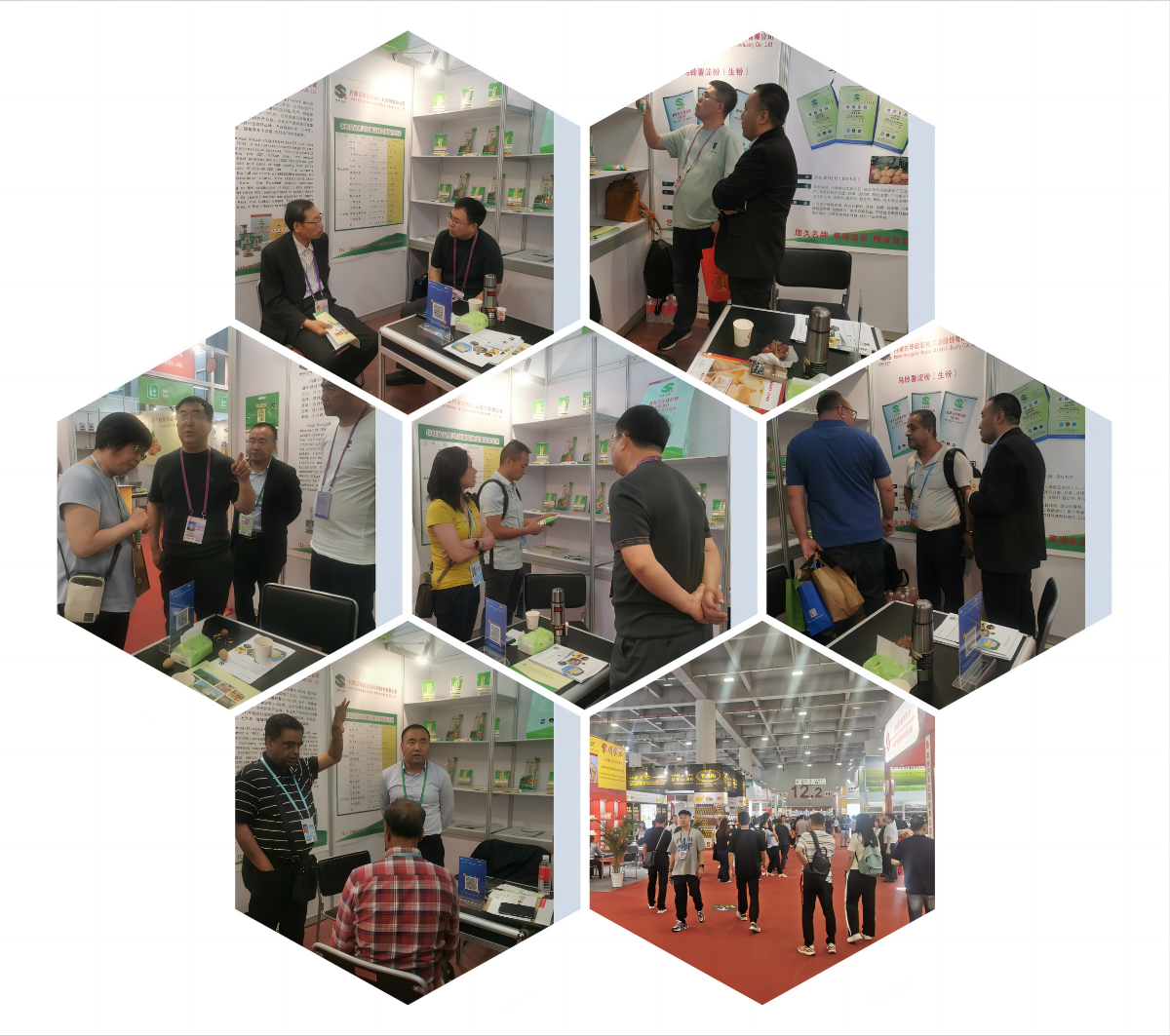 WPS拼圖0.png WPS拼圖0.png