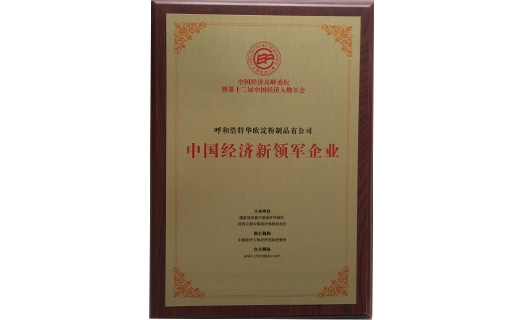 2014中國(guó)經(jīng)濟(jì)新領(lǐng)軍企業(yè)