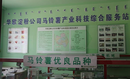 Potato Industry Technology Integrated Service Station 